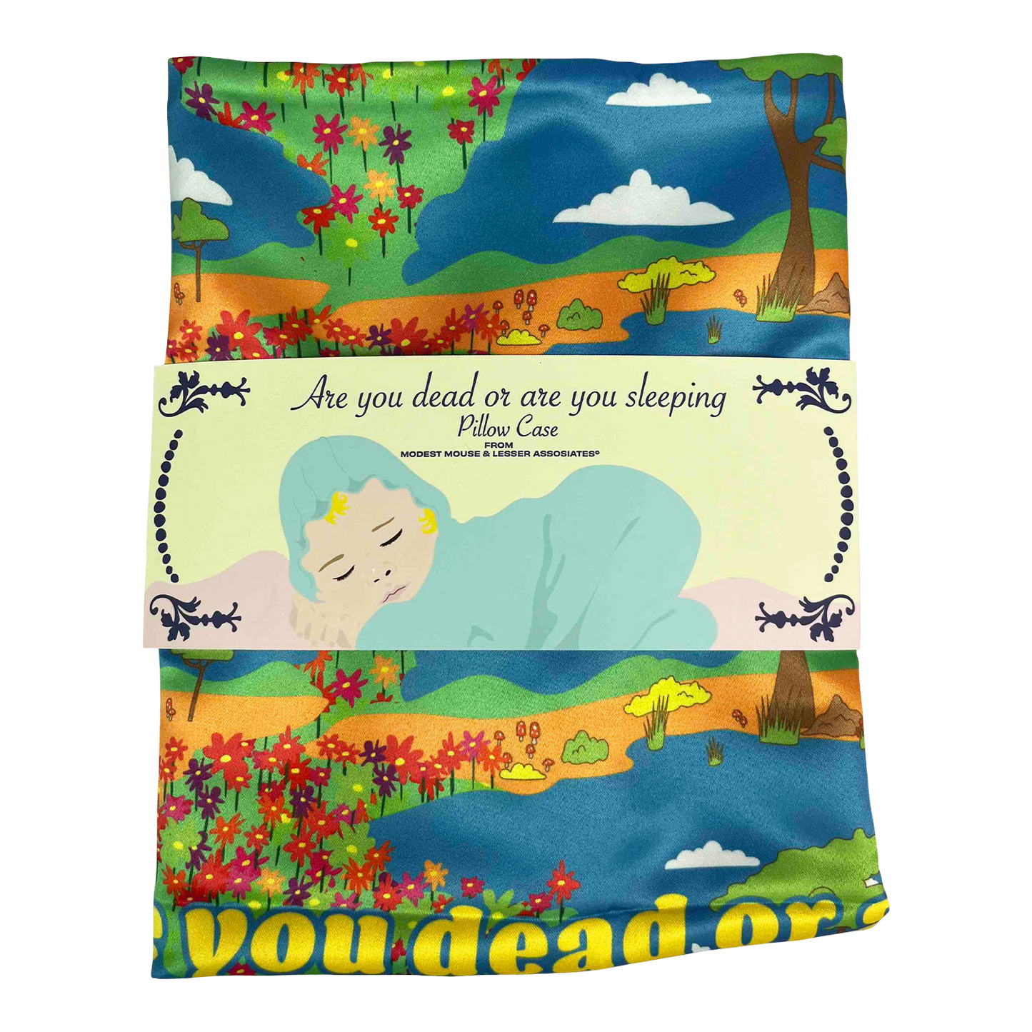 Satin in a Coffin Pillowcase
