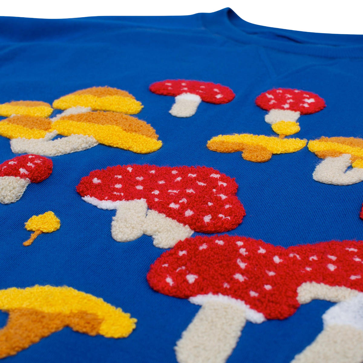 Mushroom Crewneck Sweatshirt (Blue)