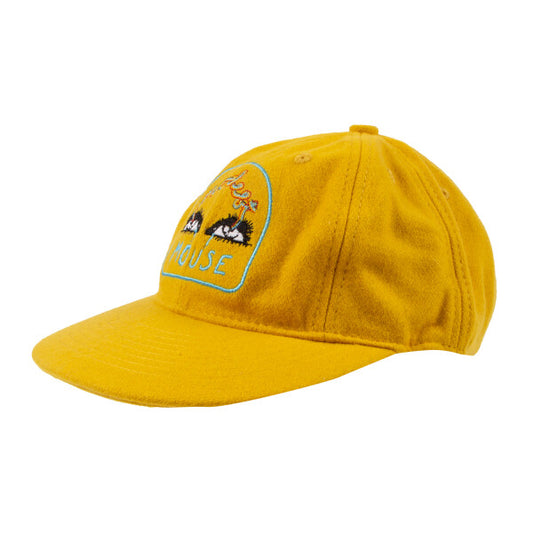 Rainbow Vision Wool Hat