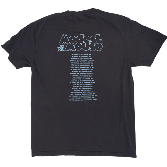 Modest Mouse x Flaming Lips 2025 Graphite Tour Tee
