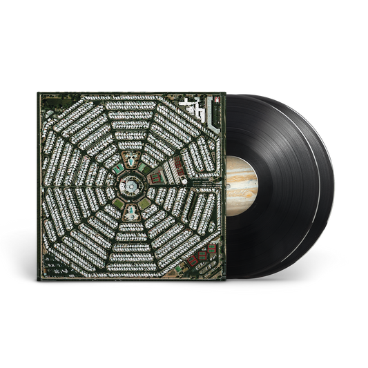 Strangers To Ourselves LP